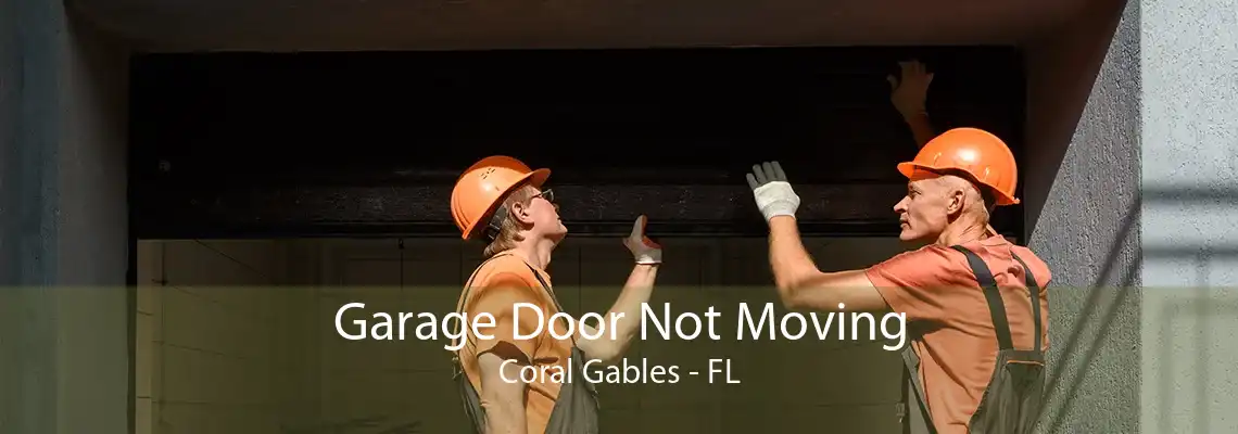 Garage Door Not Moving Coral Gables - FL